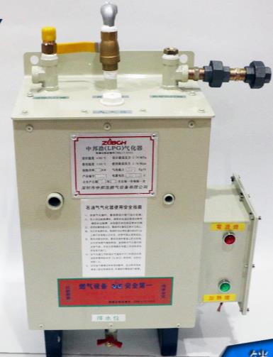 Liquefied gas gasifier