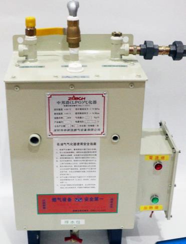 Zpex-30 / 50 / 100 / 150 / 200 / 300 / 400 / 500 gasifier