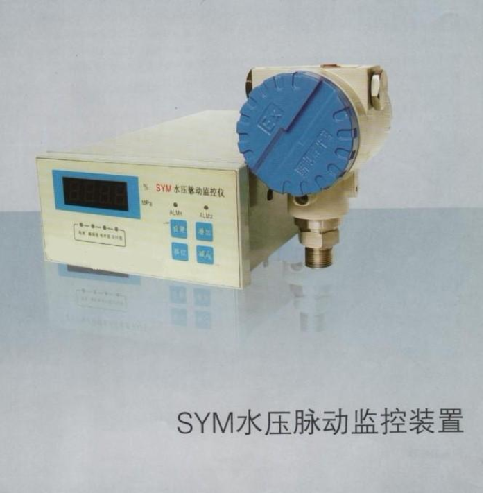 SYM water pressure pulsation monitoring device